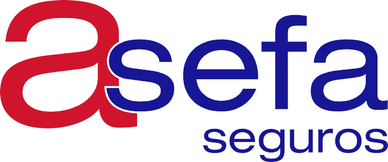 LOGO ASEFA